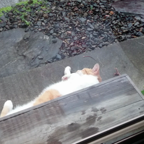 あっ！の画像