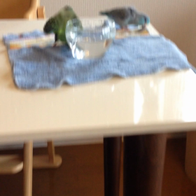 水浴びの画像