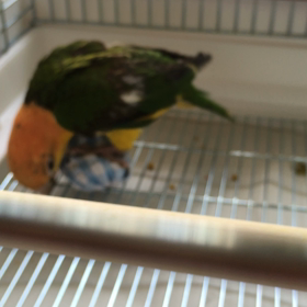 転がりあそびの画像