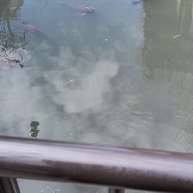 京都名古屋遠征奇行番外編②の画像