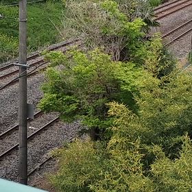 水戸仙台遠征＆旅奇行番外編の画像