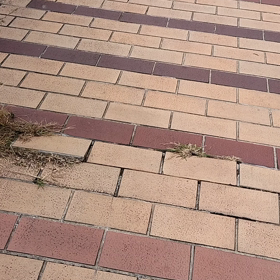 京都遠征奇行番外編④の画像