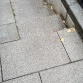 新潟秋田仙台遠征奇行番外編①の画像