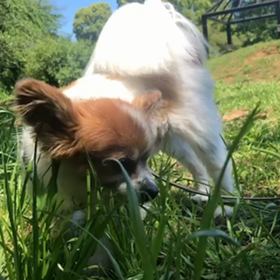 モグモグタイム♪の画像