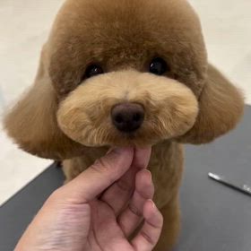 2024/10/22の画像