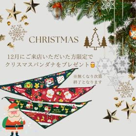 12月イベントのお知らせの画像
