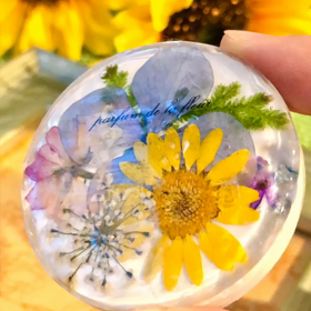 【インスタグラムのストーリーに挑戦】動画編の画像