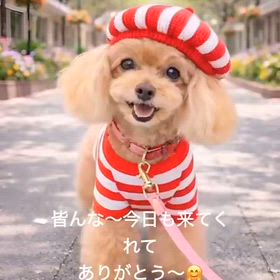 のんまま♬ 動画一覧｜nonまま家族のシンプルライフ