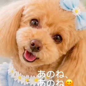 【＊のんまま＊様♡専用ページ】 動画一覧｜nonまま家族のシンプルライフ