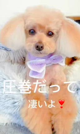 nonままさんのプロフィールページ