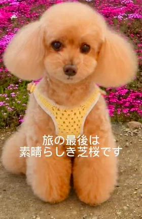 nonままさんのプロフィールページ