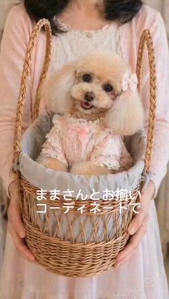 コーディネートして行ってみたの記事動画