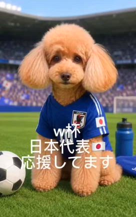くーちゃん家族は応援しています＾＾の記事動画
