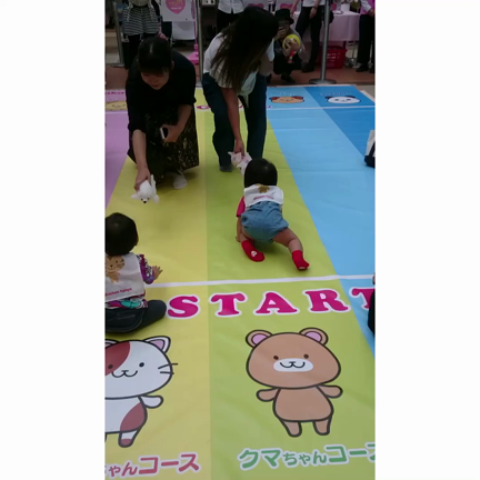 11m10d ハイハイレース✎೯少しレポ風の記事動画