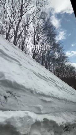 2025/02/16の記事動画