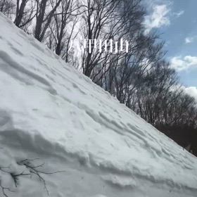 2025/02/16の画像