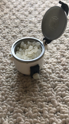 とっても欲しかった炊飯器の記事動画
