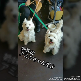 姉妹の画像