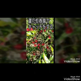 先週アラカルトの画像