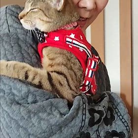 悪運に逆らえなかった夫婦23年住宅ローン払った挙句手放す事にwの画像