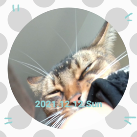 やばー！の画像