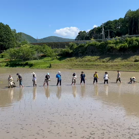 ６月１２日の画像