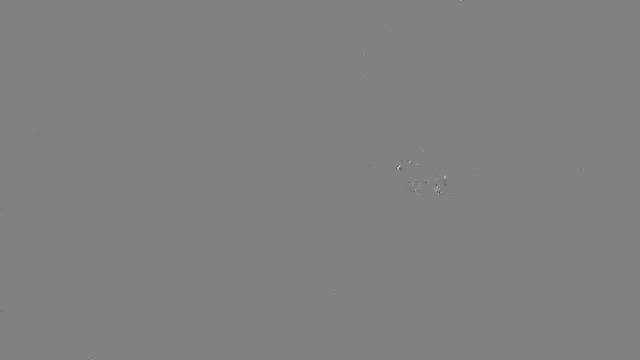 お弁当の記事動画