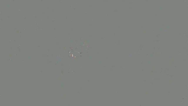 権利1つ目の記事動画