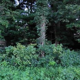 2024/08/15の画像