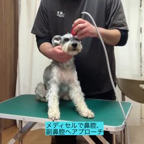 キセノン光＆メディセルの画像