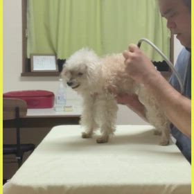 筋膜ケアの画像