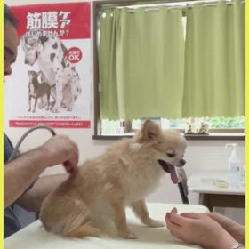 メディセルケアの画像