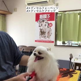 メディセ＆ハイドロセラピーの画像