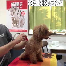 キセノン光＆メディセルケアの画像