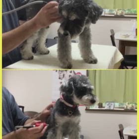 メディセルケアの画像