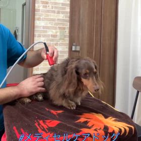 メディセル筋膜リリースの画像