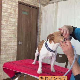 ケアの様子の画像