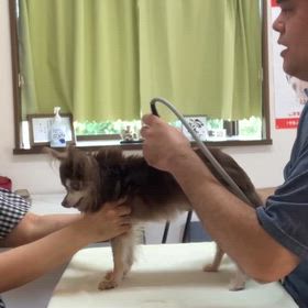 筋膜ケアの画像