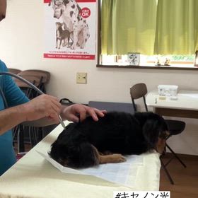 トータルケアの画像