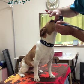 キセノン光ケアの画像