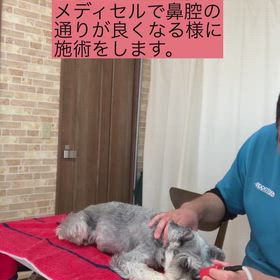 メディセル＆キセノン光の画像