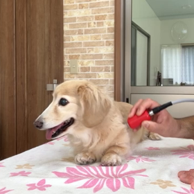 メディセル筋膜リリースの画像