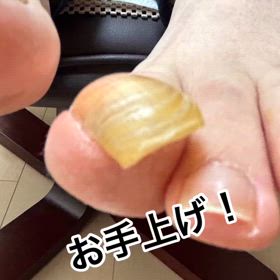 2024/06/20の画像