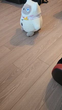KATAフレンズの日々　NOAちゃんお困り顔❤の記事動画