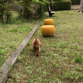 元気いっぱい！の画像