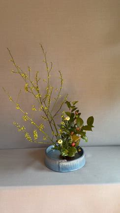 生け花　椿とアオモジをの記事動画