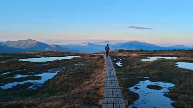 生きてると実感出来る場所の記事動画