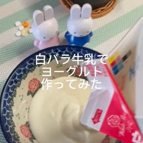 働く女子ごはん(2025/10/05) 自家製ヨーグルトの画像
