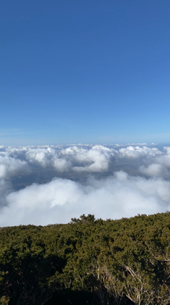 大山へ！の記事動画