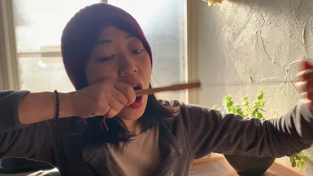 北海道へ！の記事動画
